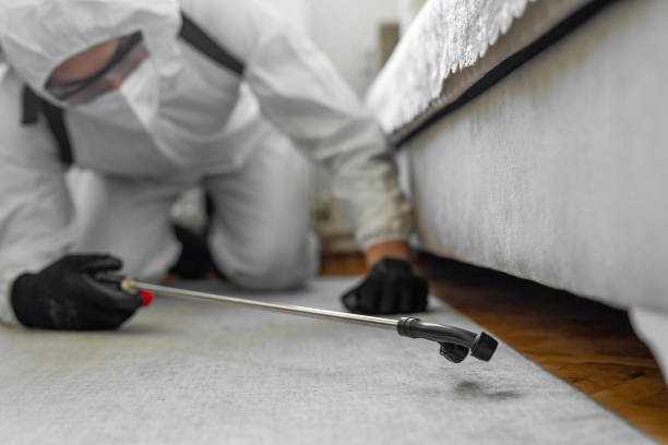 Professional Bed Bug Control technician working in West Hills, NY